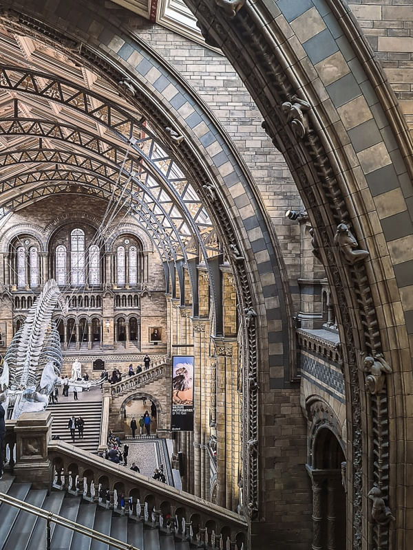 LONDONS NATURAL HISTORY MUSEUM