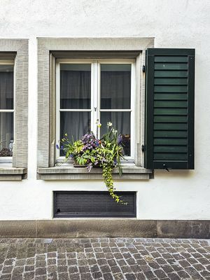 SWISS WINDOW