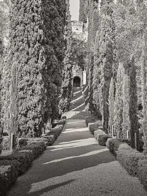 GIARDINO GIUSTI VERONA - BLACK AND WHITE