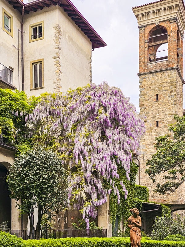 GIARDINO ITALIANO