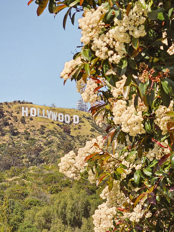 HOLLYWOOD SIGN LA