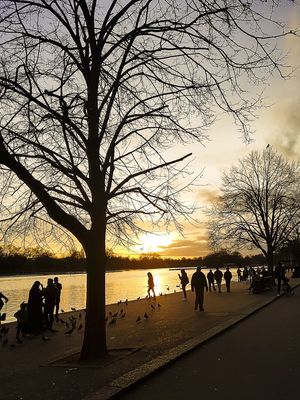 THE SERPENTINE HYDE PARK