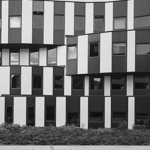 PATTERN FACHADA V