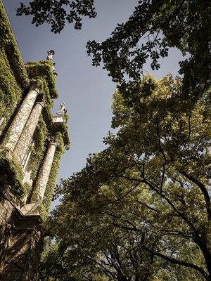 NATUREZA QUE INVADE