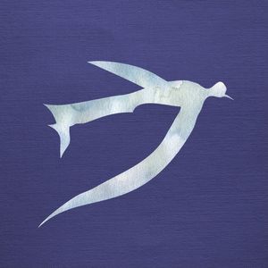 BLUE BIRDS SERIES - 03