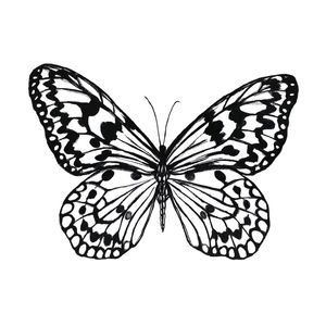 BORBOLETA PRETO E BRANCO 1 QUADRADO - INSETO ELEGANTE SKETCH ILUSTRACAO