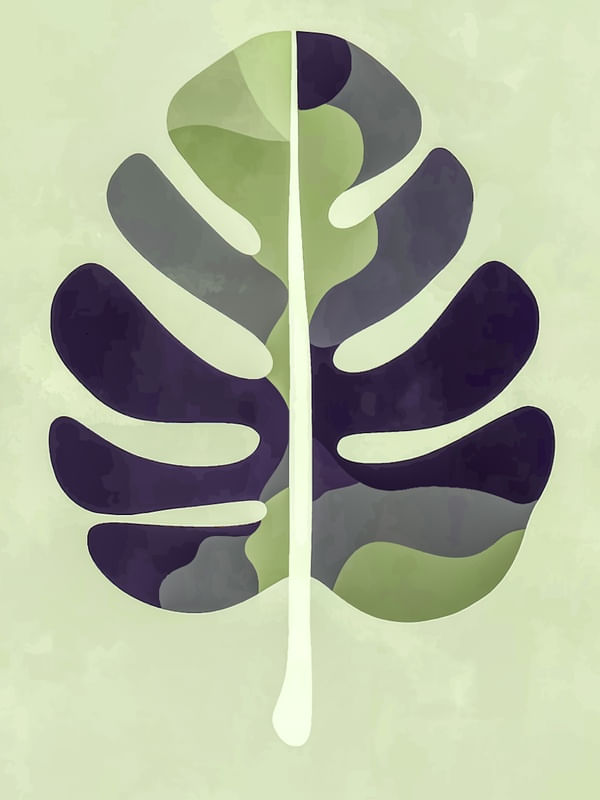 MINIMAL MONSTERA 04