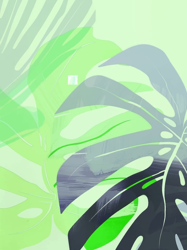 FOLHAS MONSTERA 02