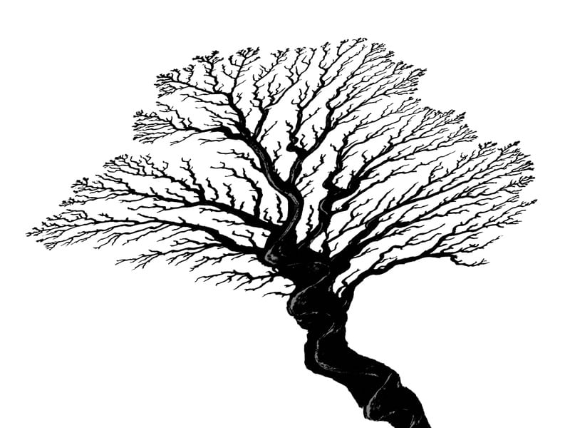 TREE OF TRUTH