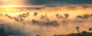 FLORESTA 2 PANO