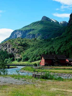 FLAM2