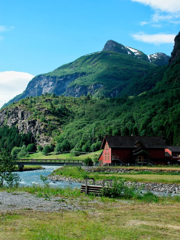 FLAM2
