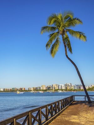 ORLA DE PONTA VERDE - MACEIÓ AL