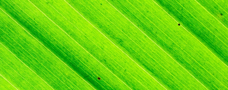 VERDE LUMINOSO 2 - TRÍPTICO 2