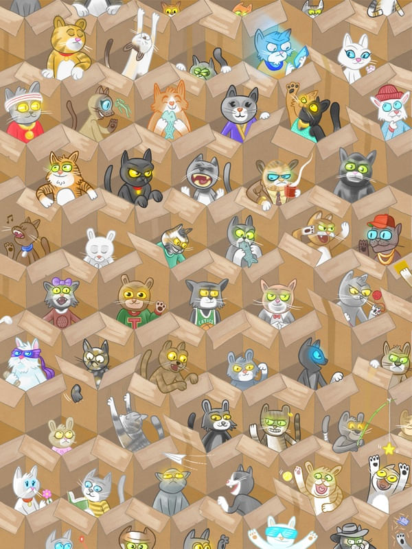CATS AND BOXES