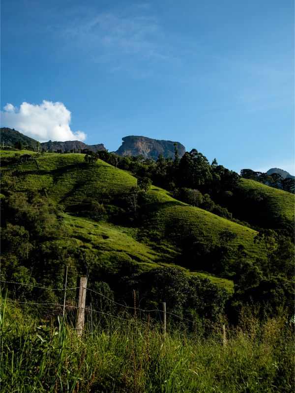 COLINAS DE MINAS