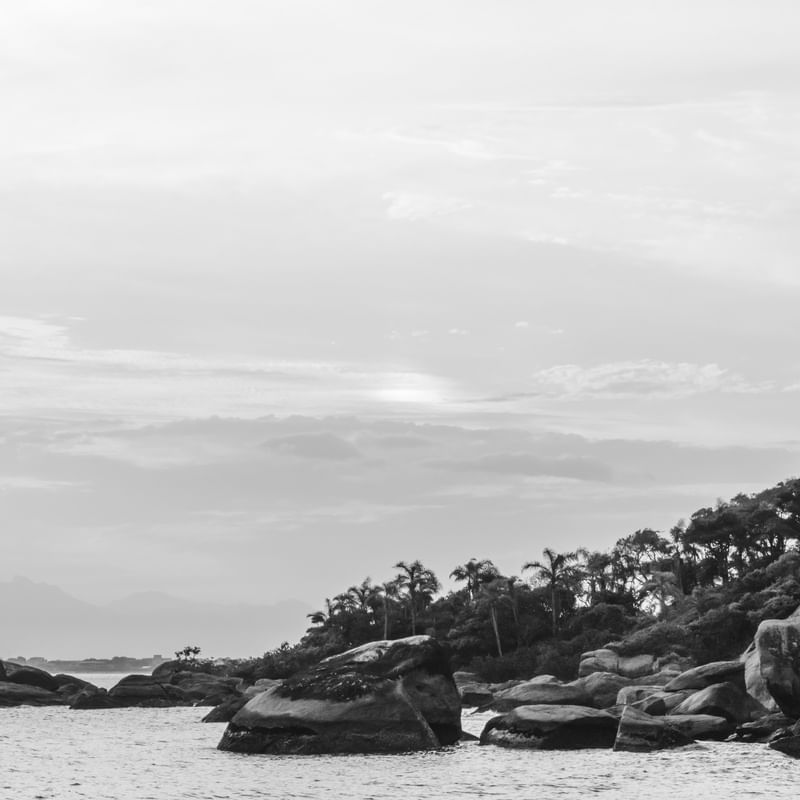 PAISAGEM ZEN