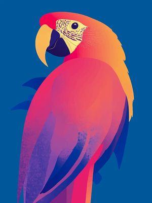MINIMAL ARARA BY AI 01