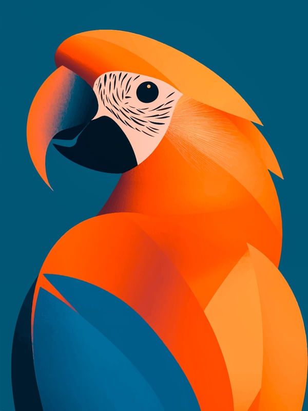 MINIMAL ARARA BY AI 02