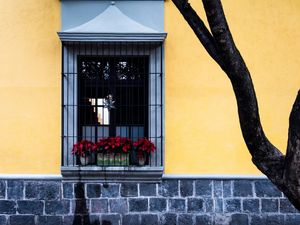 COYOACAN