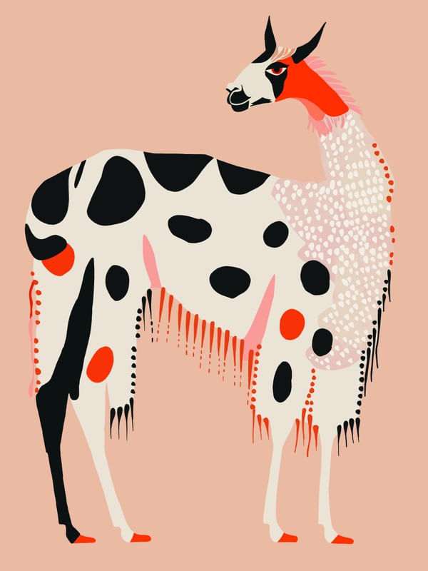 LAMA OF THE ANDES