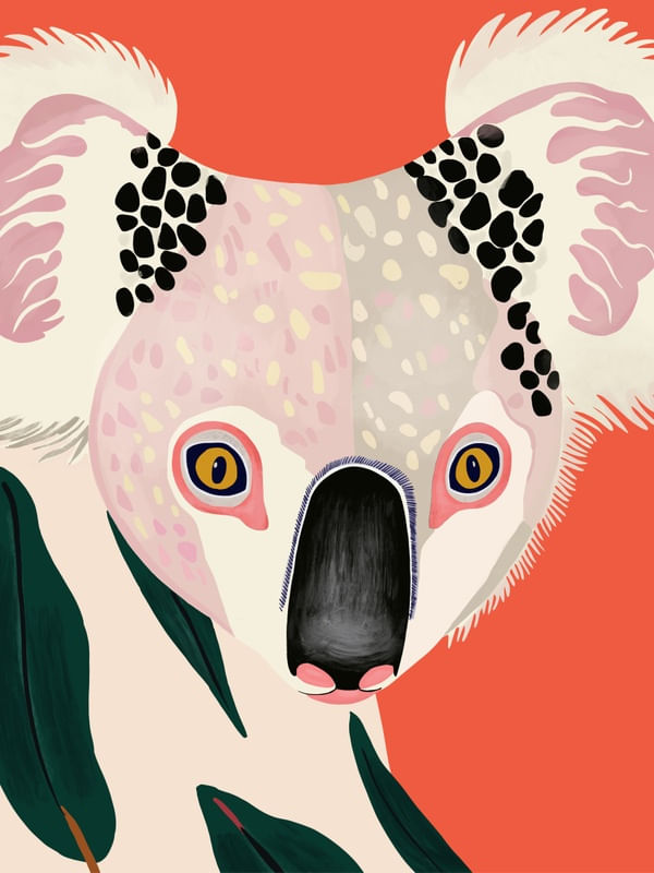 KOALA PORTRAIT I