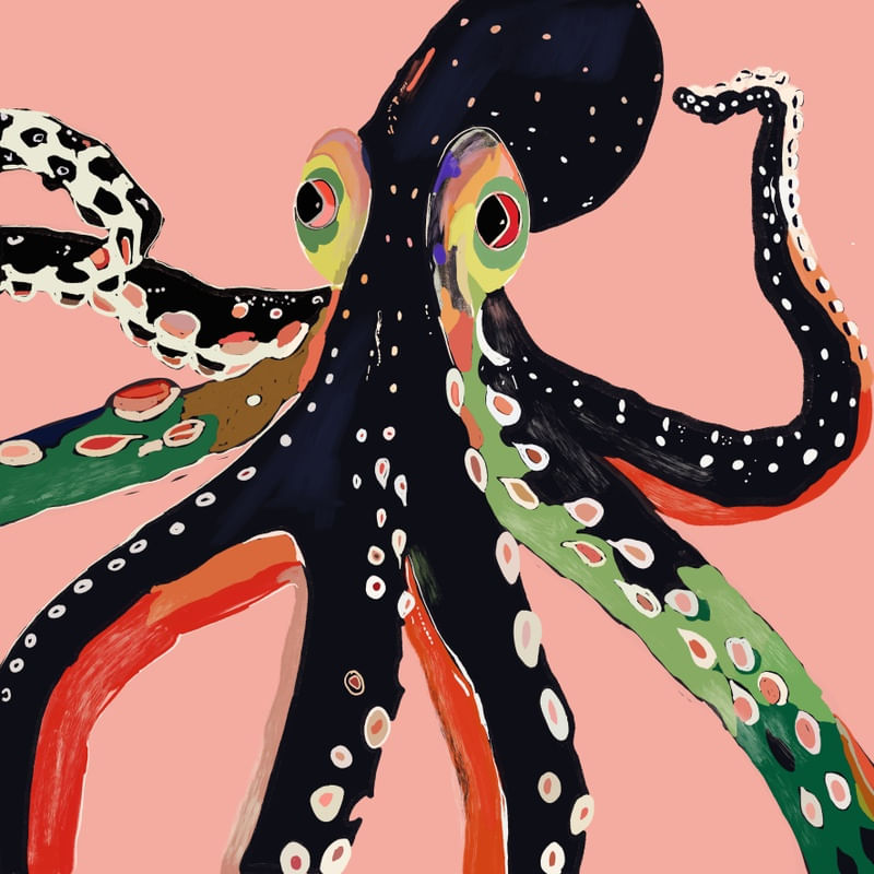 COLORFUL OCTOPUS I