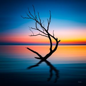 IN A DREAM NO01