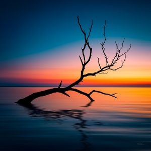IN A DREAM NO02