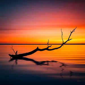 IN A DREAM NO03