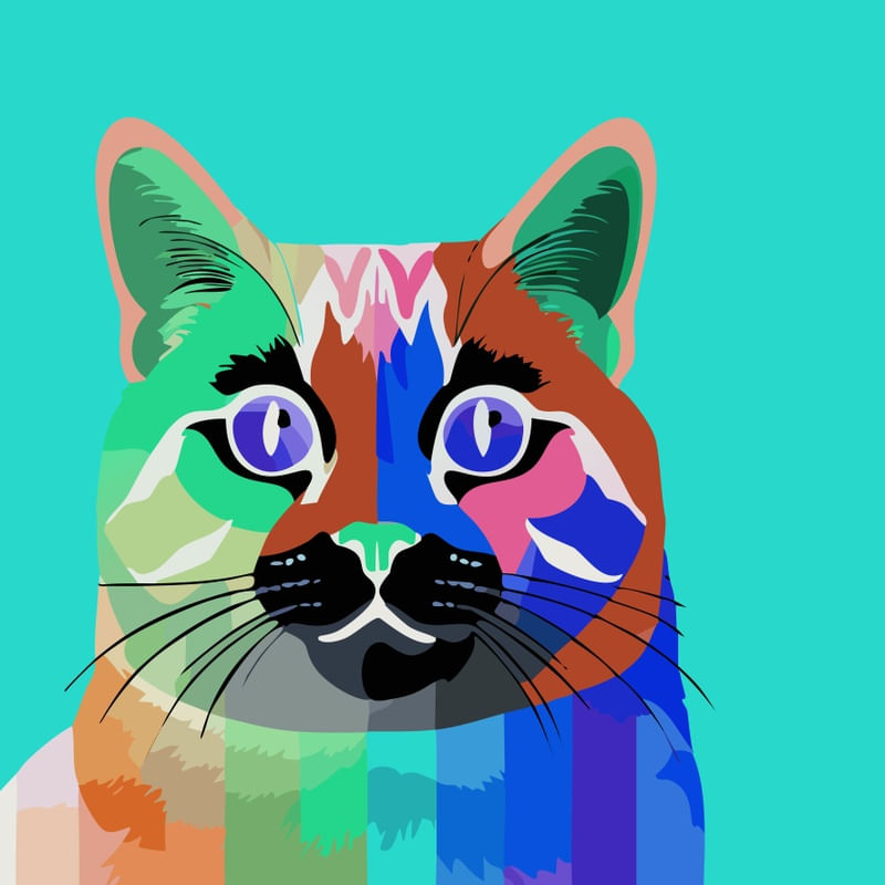 CAT POP ART X