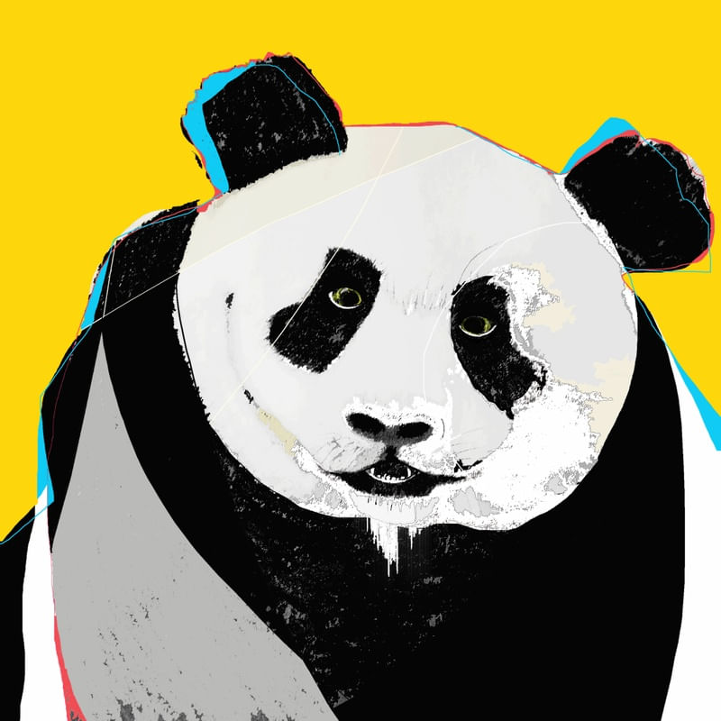 PANDA, 2018