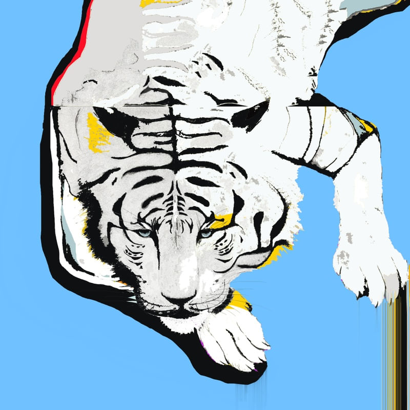 SIBERIAN TIGER / TIGRE SIBERIANO