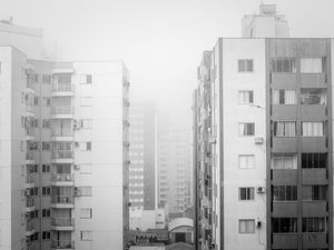 EM MEIO A NEBLINA DENSA