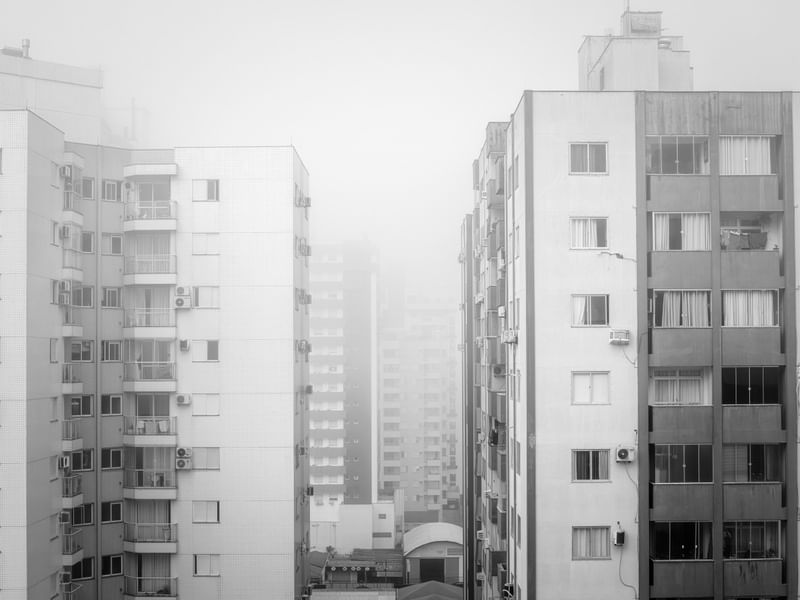 EM MEIO A NEBLINA DENSA