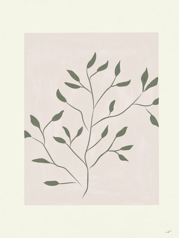 BOTANIC FIG 2