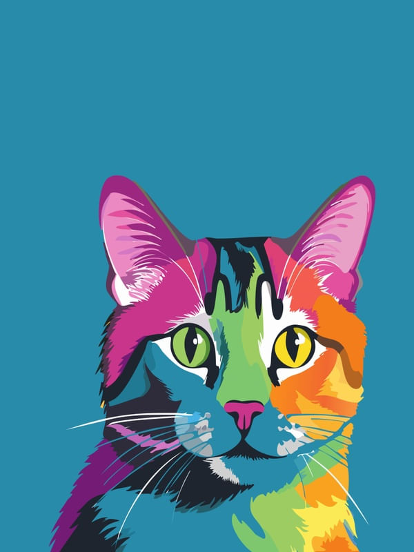 CAT POP ART 47