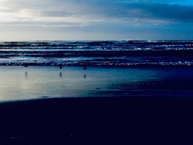 SUL OCEANO