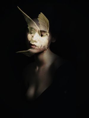 WIND IN MY HEART 001