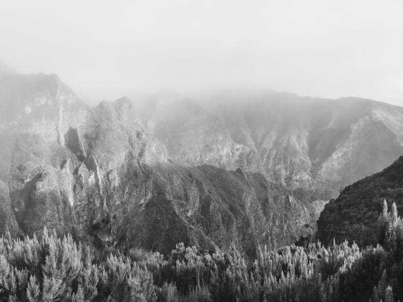 MANHÃ DE NEBLINA - H01
