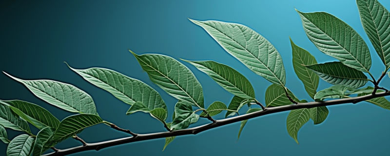 PINTURA L7221 - BY AI