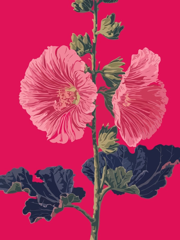 PINK FLOR