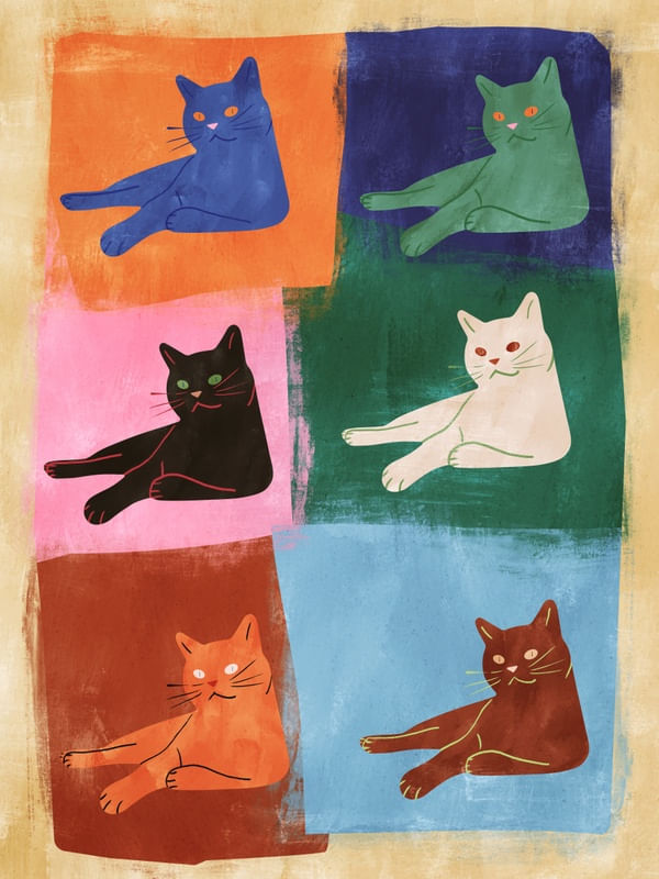 POP CATS BY TAS