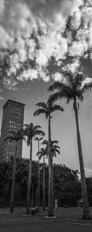 NATUREZA URBANA PANORÂMICA 01