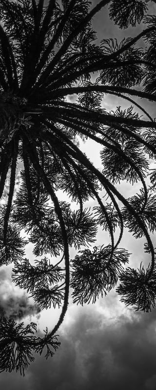 NATUREZA URBANA PANORÂMICA 02