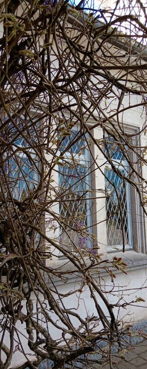 ARTE URBANA PANORÂMICA 02