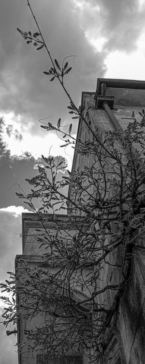 ARTE URBANA PANORÂMICA 04