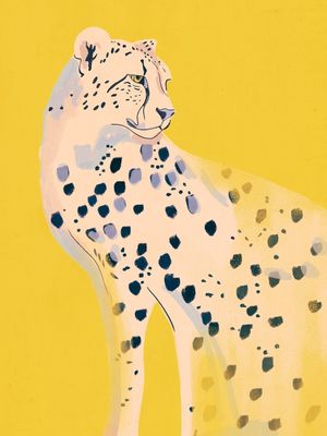 CHEETAH 15