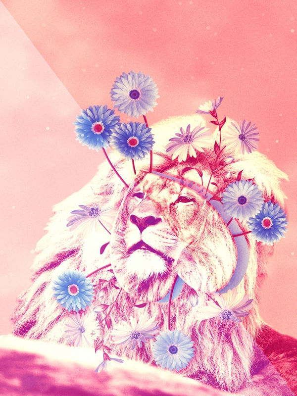 LION TS