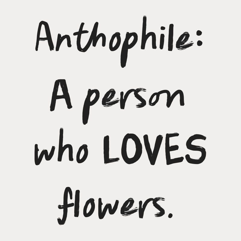 ANTHOPHILE MEANING 01